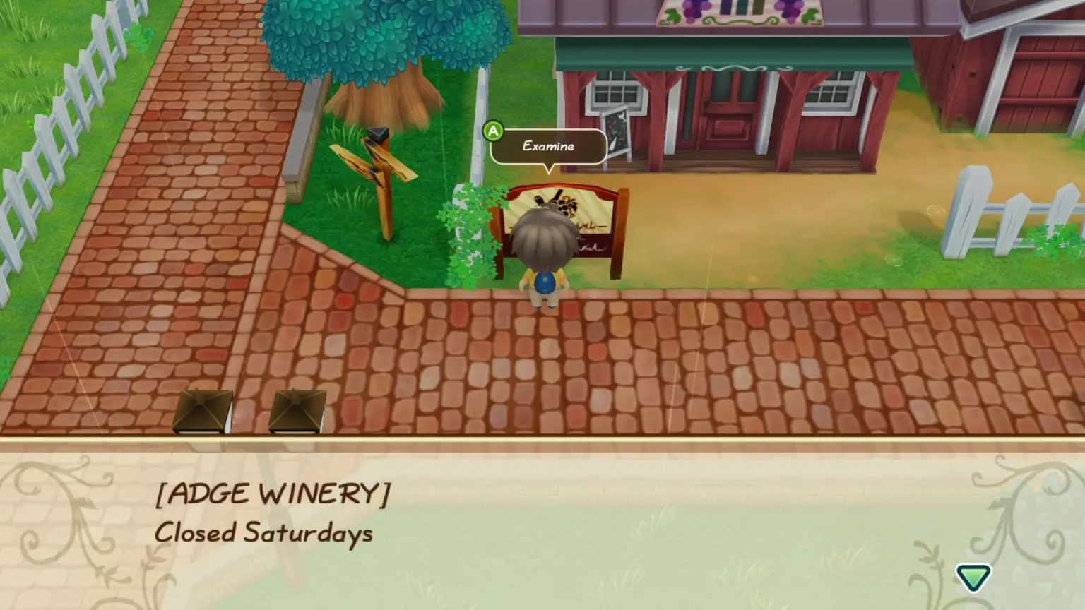 adge winery location in story of seasons: fomt