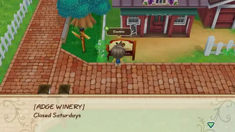 adge winery location in story of seasons: fomt