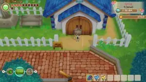 church location in story of seasons: fomt