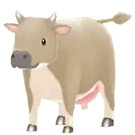 brown cow female sos awl