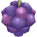 grape fruit sos awl