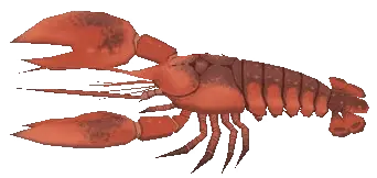 langouste fish sos awl