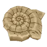 shell fossil sos awl