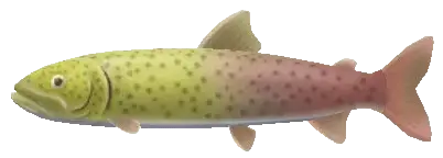 string fish sos awl