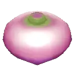 sweeturn crop sos awl