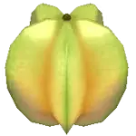 rare tree 7 sos awl