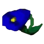 blue magic red flower crop hmbtn