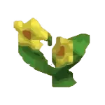 moondrop flower crop hmbtn