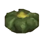 pumpkin crop hmbtn