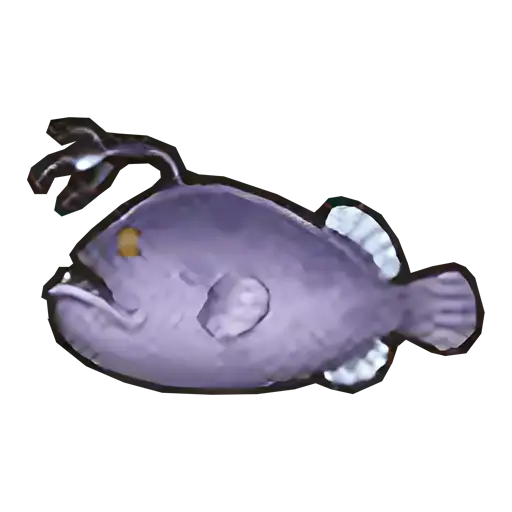 angelfish sos fomt