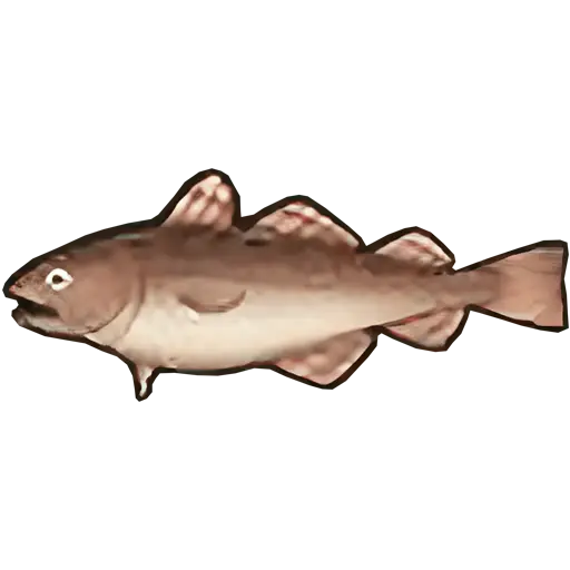 cod fish sos fomt