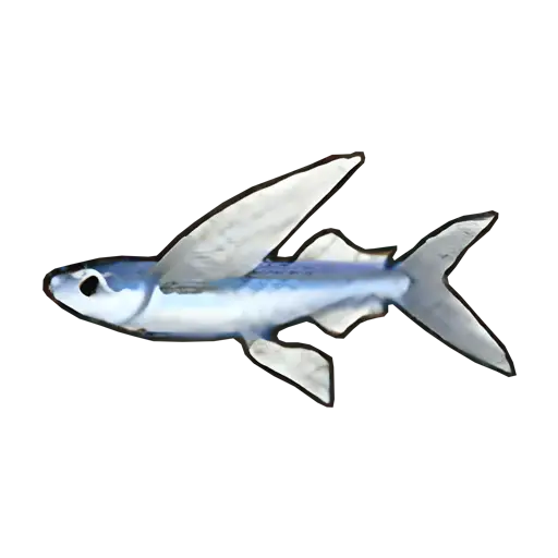 flying fish sos fomt