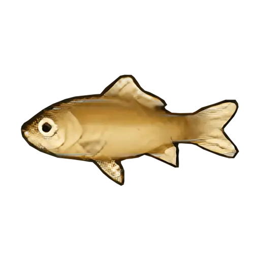 goldfish sos fomt