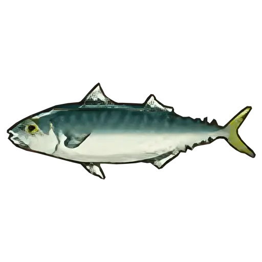 mackerel fish sos fomt