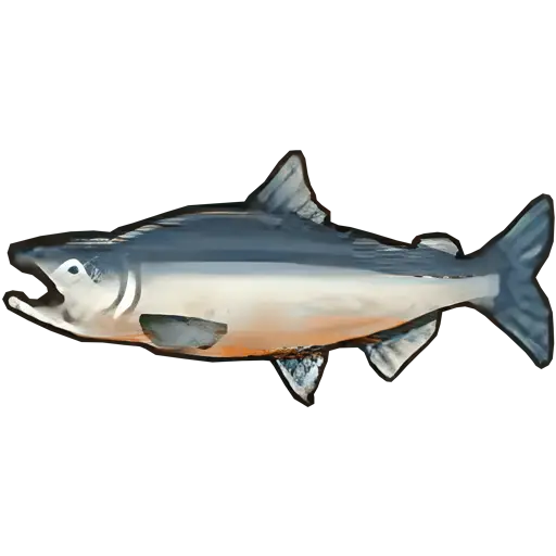 salmon fish sos fomt