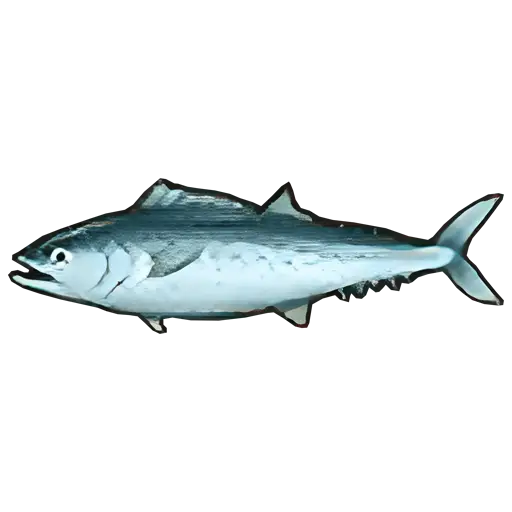 seerfish sos fomt