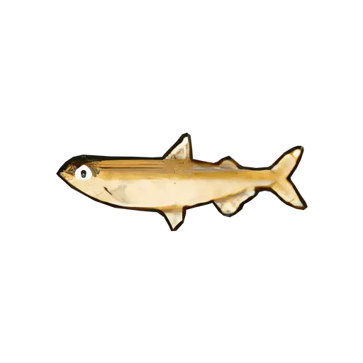 smelt fish sos fomt