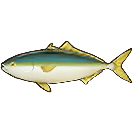 yellowtail fish sos fomt