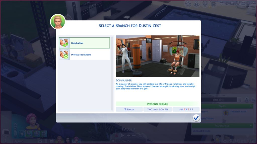 cabang karier the sims 4