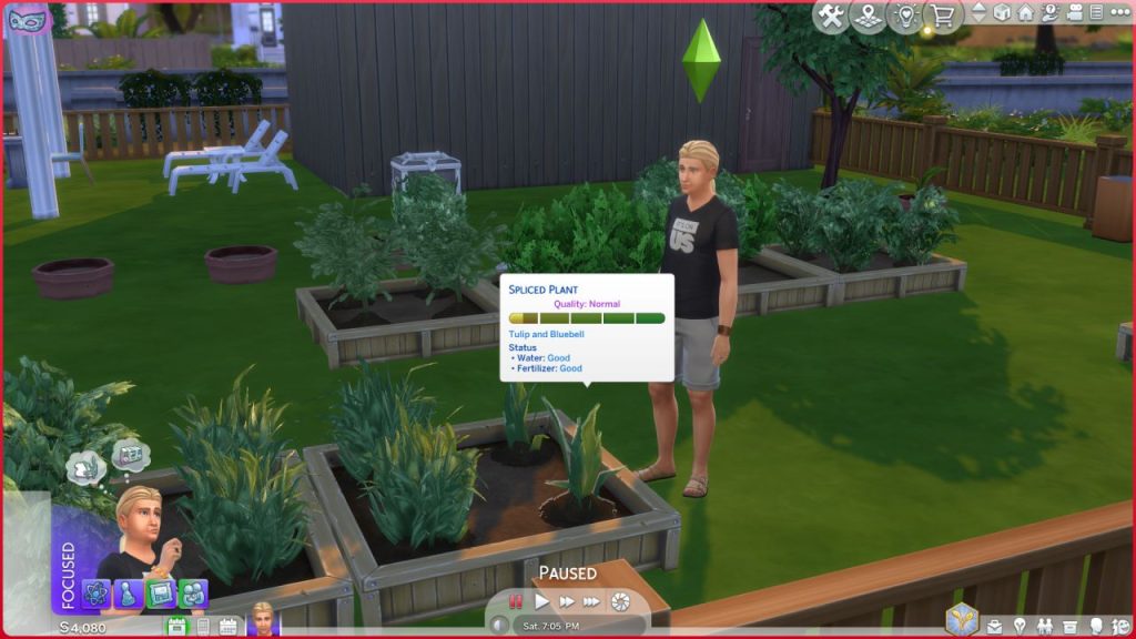 grafting plant sims 4