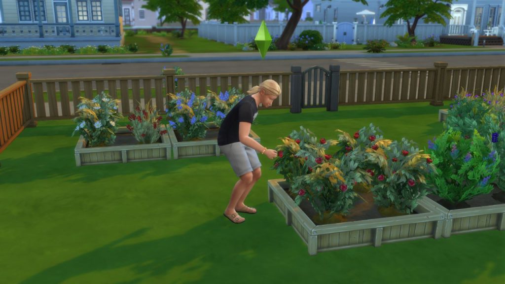 harvest plant sims 4